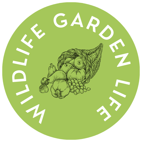 Wildlife Garden Life
